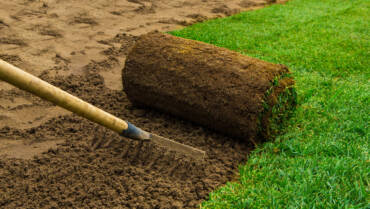 Home Gardening and Landscaping Services